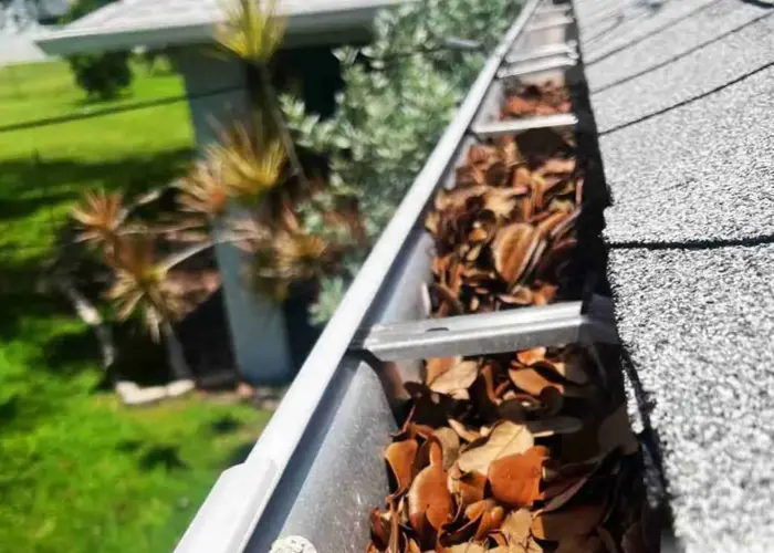 Georgetown gutter cleaning home page